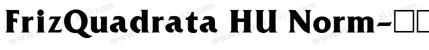 FrizQuadrata HU Norm字体转换